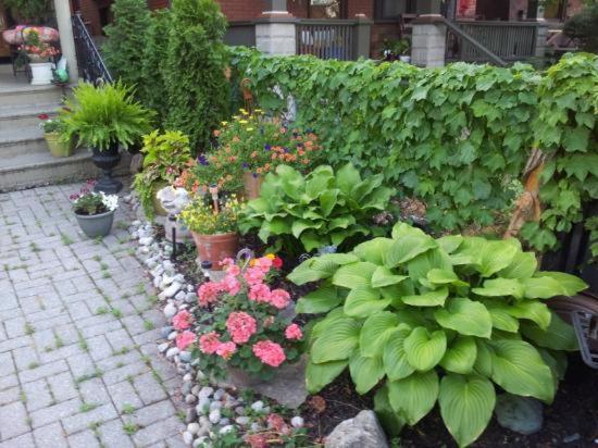 A Hidden Gem Bed And Breakfast Windsor Esterno foto